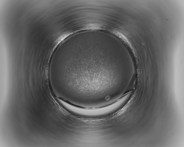 X0000086881081200704300932