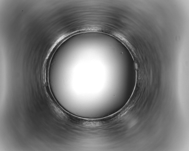 X0000086881083200704300932