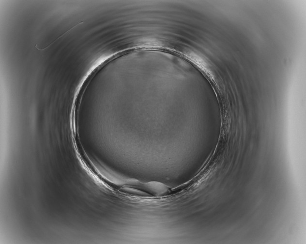 X0000086881084200704300932