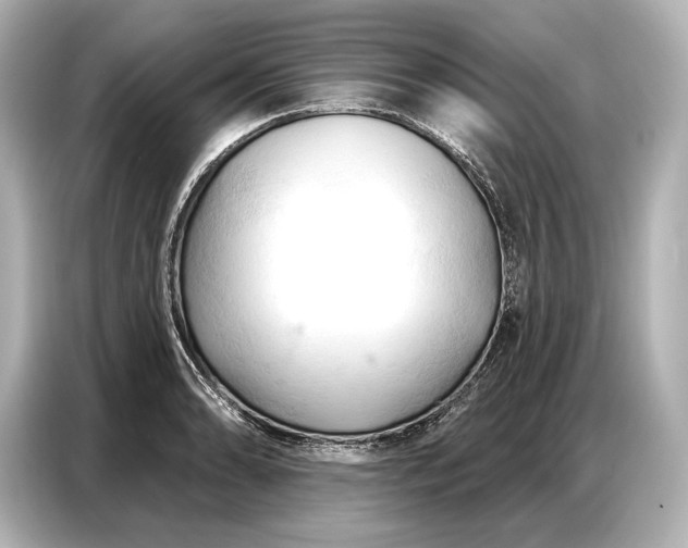 X0000086881086200704300932