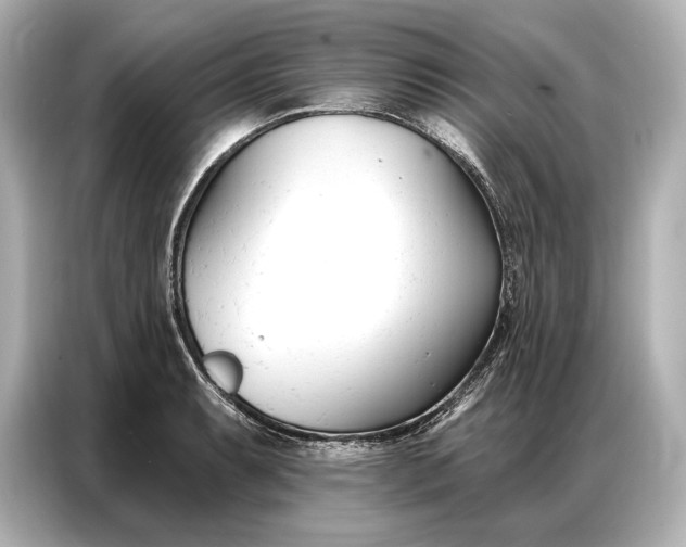 X0000086881087200704300932