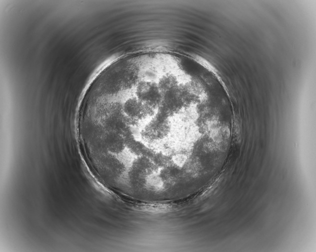 X0000086881090200704300932