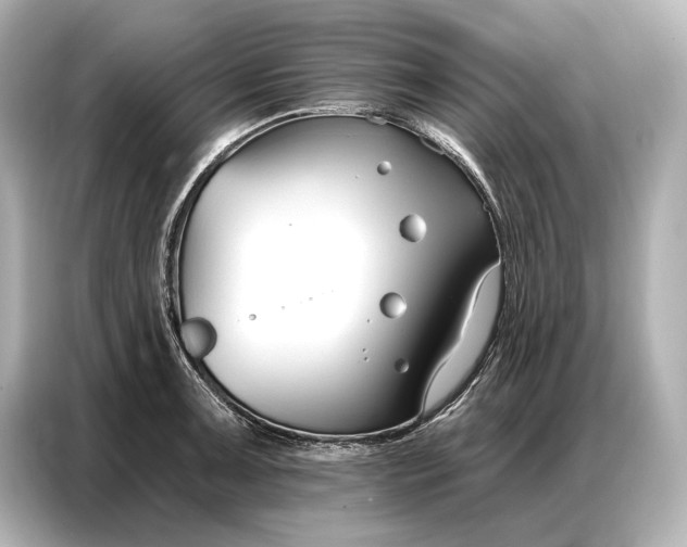 X0000086881091200704300932