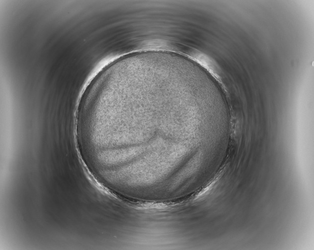 X0000086881094200704300932