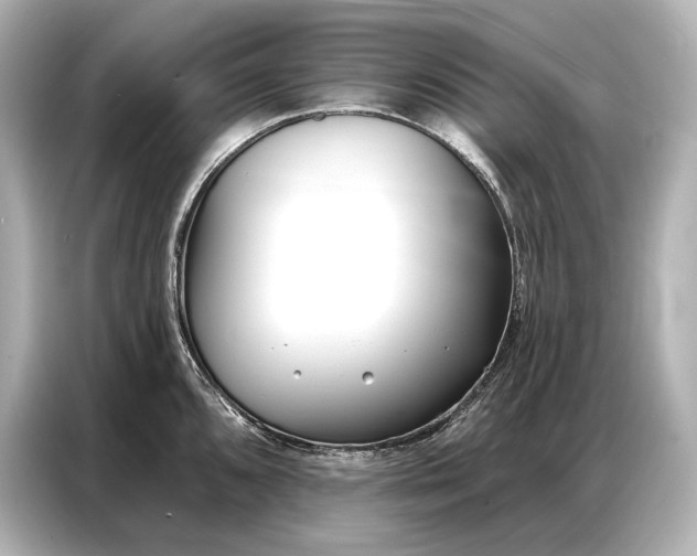 X0000086881096200704300932