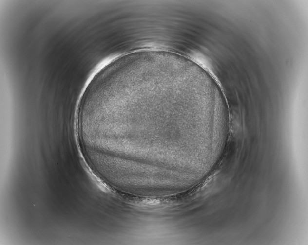 X0000086881098200704300932