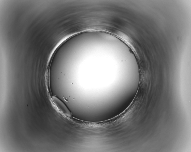 X0000086881100200704300932