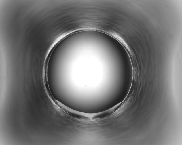 X0000086881101200704300932