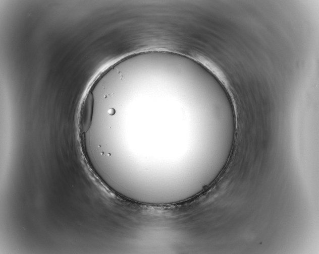 X0000086881104200704300932