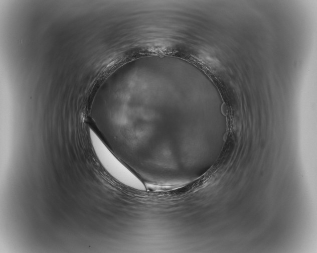 X0000086881106200704300931