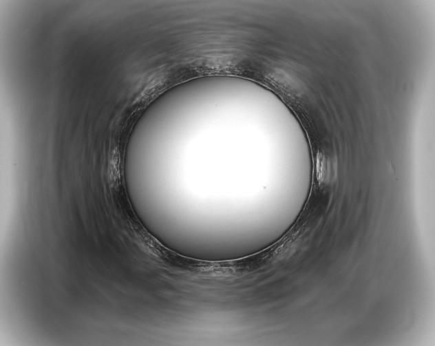 X0000086881107200704300931