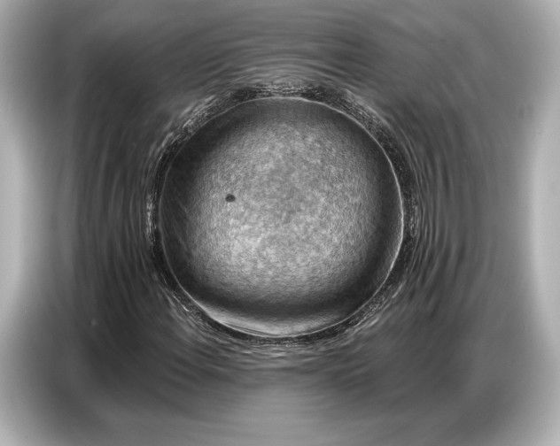 X0000086881108200704300931