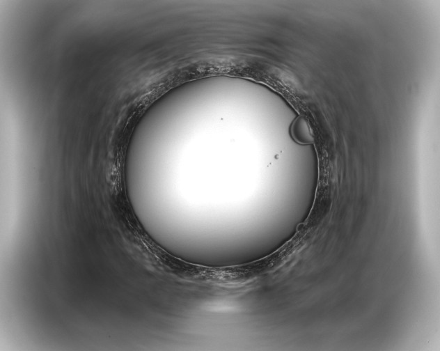 X0000086881109200704300931