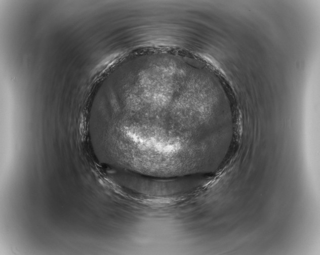 X0000086881110200704300931