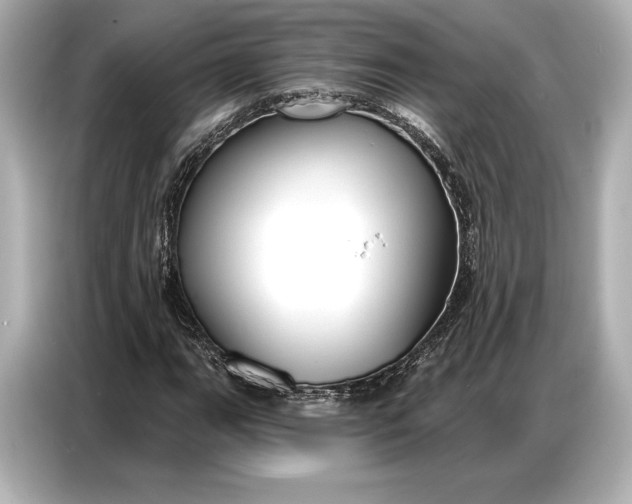 X0000086881111200704300931