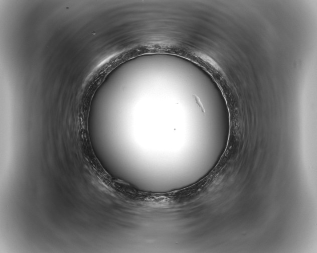 X0000086881112200704300931