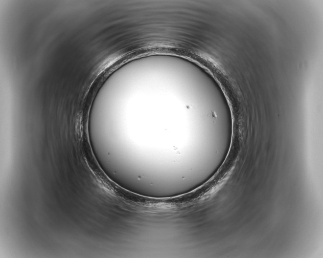 X0000086881113200704300931