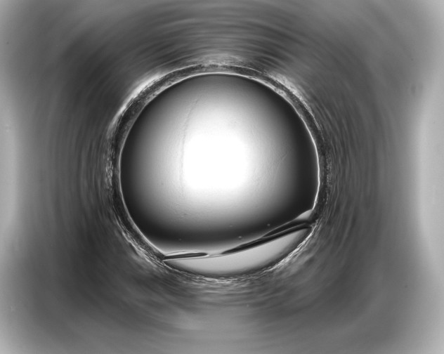 X0000086881115200704300931