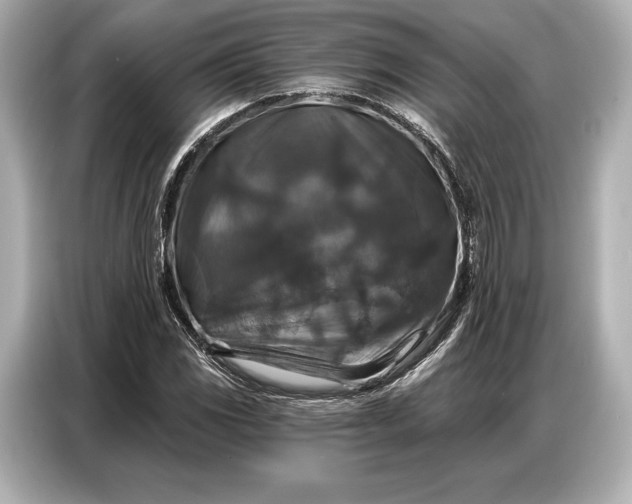 X0000086881117200704300931