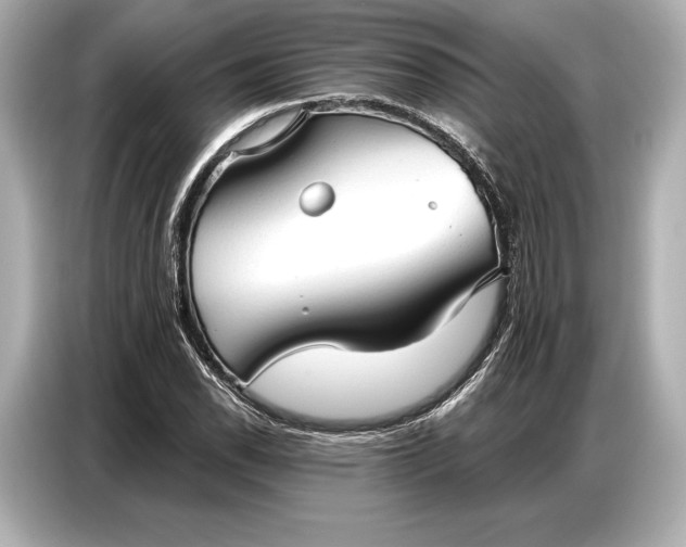 X0000086881118200704300931