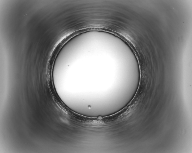 X0000086881119200704300931