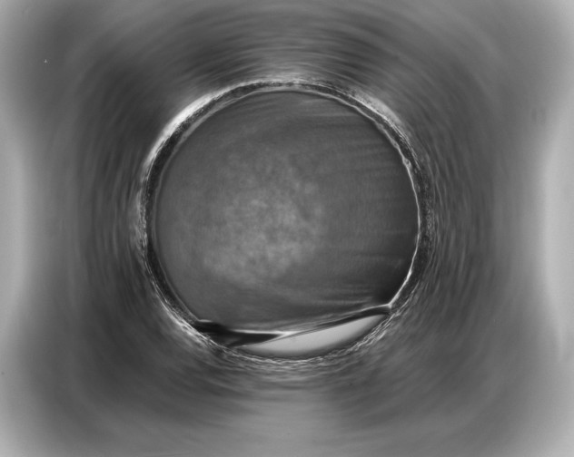 X0000086881120200704300931