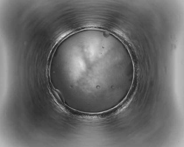 X0000086881121200704300931