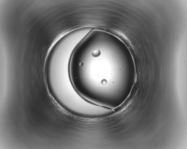 X0000086881122200704300931