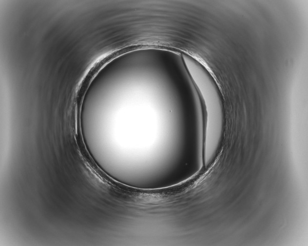 X0000086881123200704300931