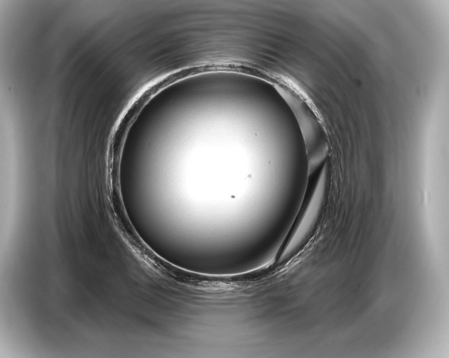 X0000086881124200704300931