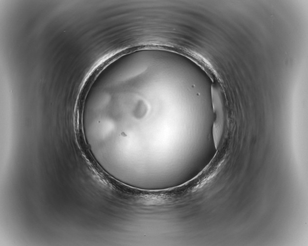 X0000086881125200704300931