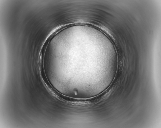 X0000086881126200704300931