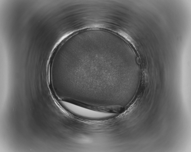 X0000086881127200704300931