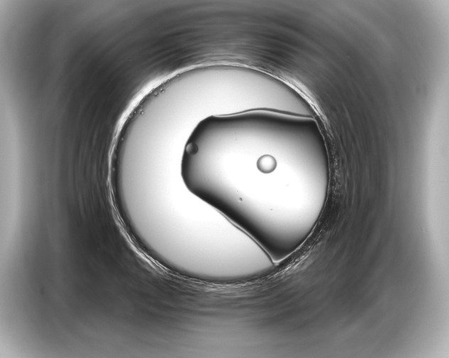 X0000086881128200704300931