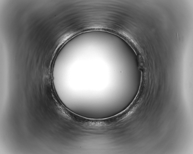 X0000086881129200704300931