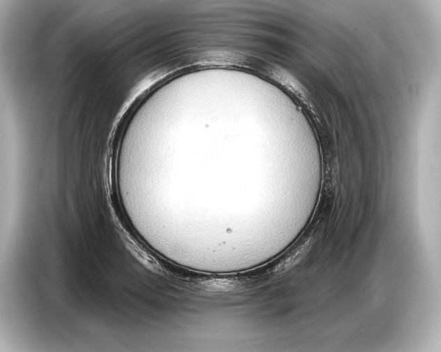 X0000086881130200704300931