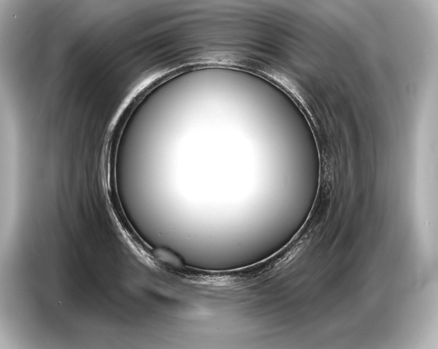 X0000086881131200704300931