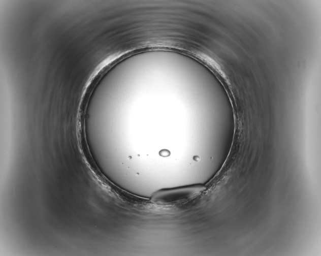 X0000086881133200704300931