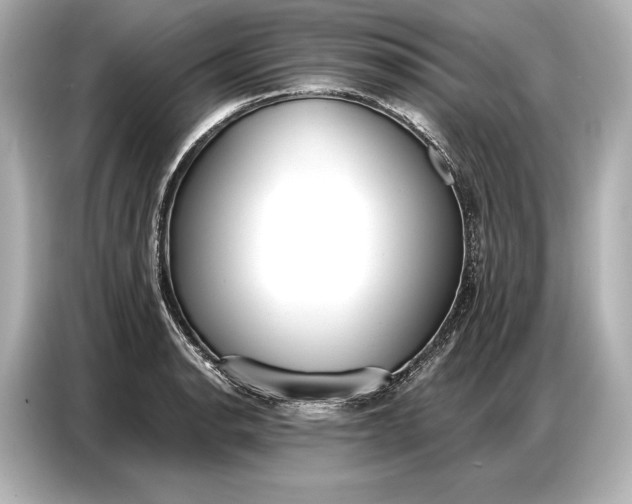 X0000086881134200704300931