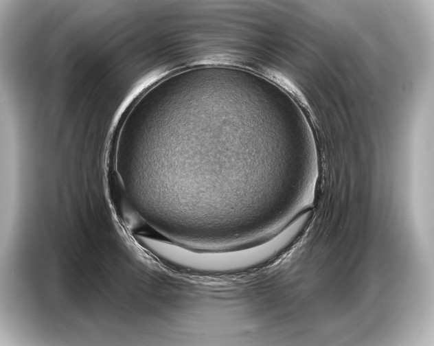 X0000086881138200704300931