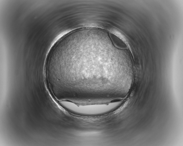 X0000086881141200704300932