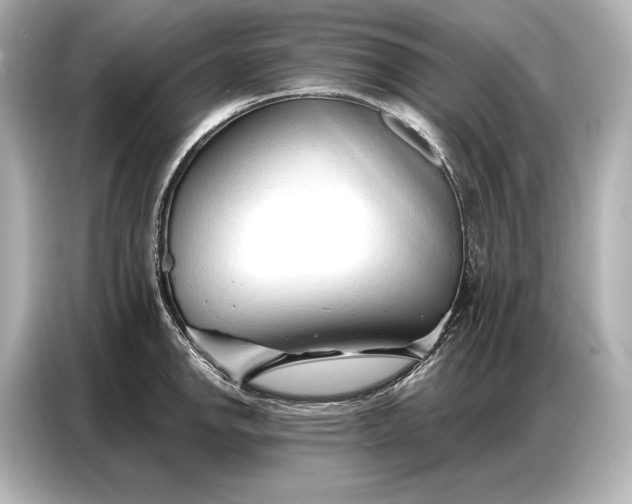 X0000086881142200704300932