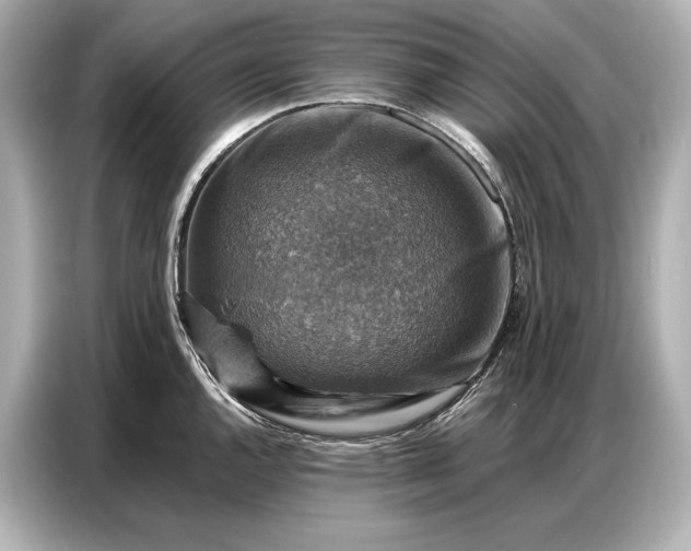 X0000086881144200704300932