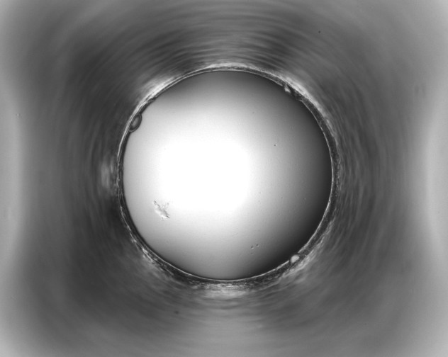 X0000086881145200704300932