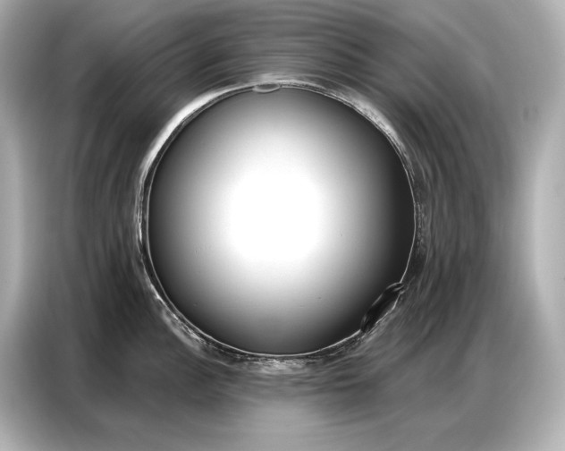 X0000086881148200704300932