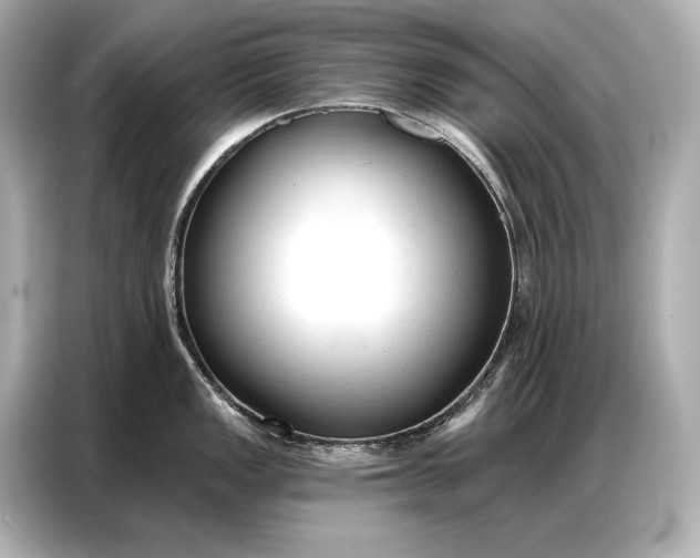 X0000086881149200704300932