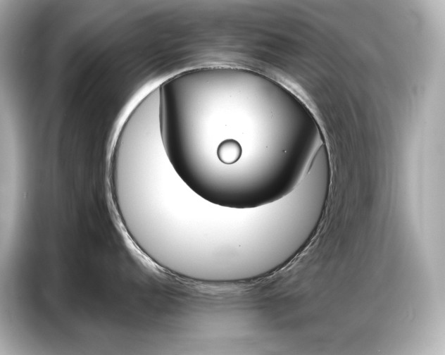 X0000086881152200704300932