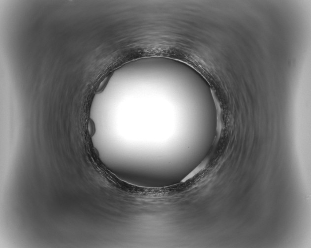 X0000086881153200704300931