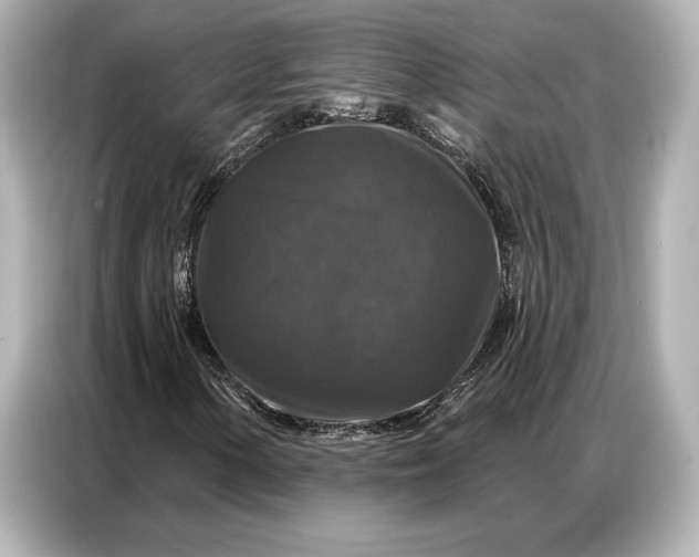 X0000086881154200704300931