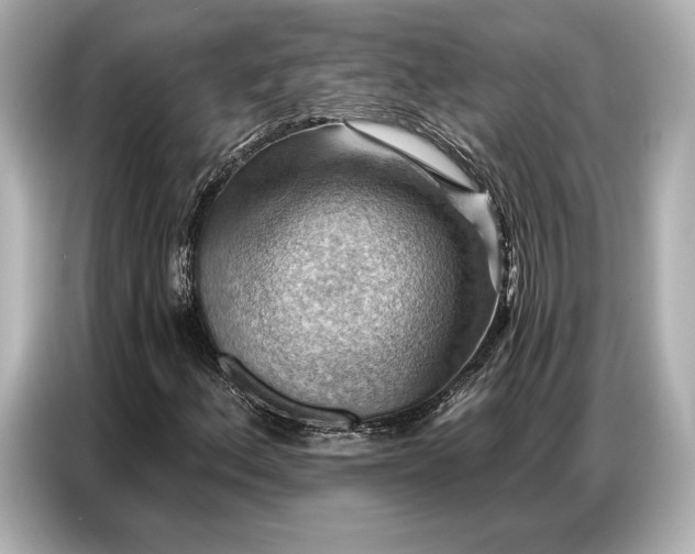 X0000086881156200704300931